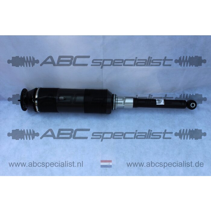 MERCEDES-BENZ Mercedes CL-Klasse C215 ABC Stoßdämpfer Federbein Hinten Links A2203200913 A2203201713