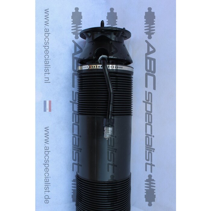 MERCEDES-BENZ Mercedes CL-Class C215 ABC Shock Absorber Strut Rear Left (N/S) A2203200913 A2203201713