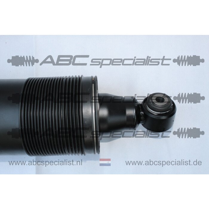 MERCEDES-BENZ Mercedes SL-Klasse R230 ABC Schokbreker Veerpoot Links Achter A2303200213 A230320021380