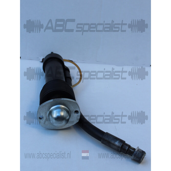 MERCEDES-BENZ Mercedes W116 W126 HPF ammortizzatore montante 450 560 SEL SEC Posteriore Sinistro A1163202813 A1163203613