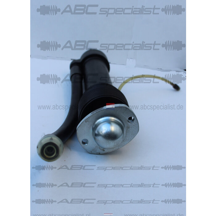 MERCEDES-BENZ Mercedes Amortiguador HPF W116 W126 450 560 SEL SEC Trasero Izquierda A1163202813 A1163203613