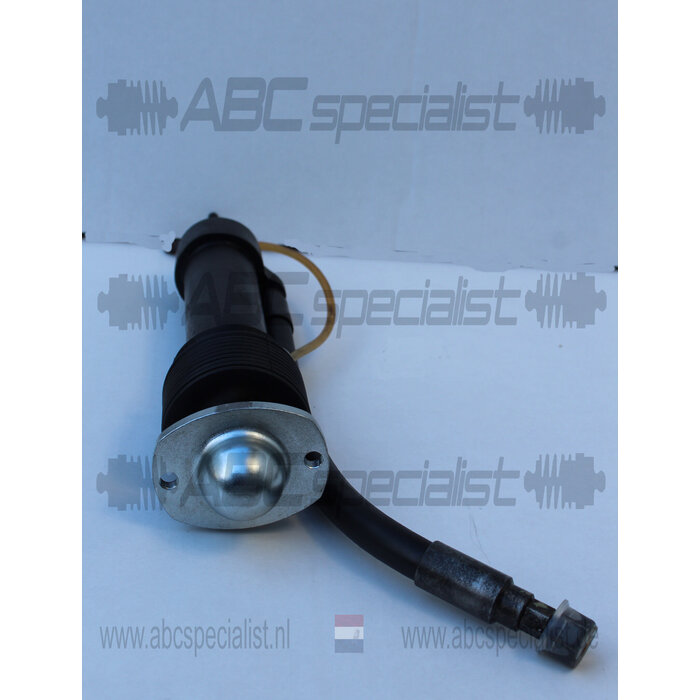 MERCEDES-BENZ Mercedes Amortisseur de jambe de force HPF W116 W126 450 560 SEL SEC Arrière Droite A1163202813 A1163203613