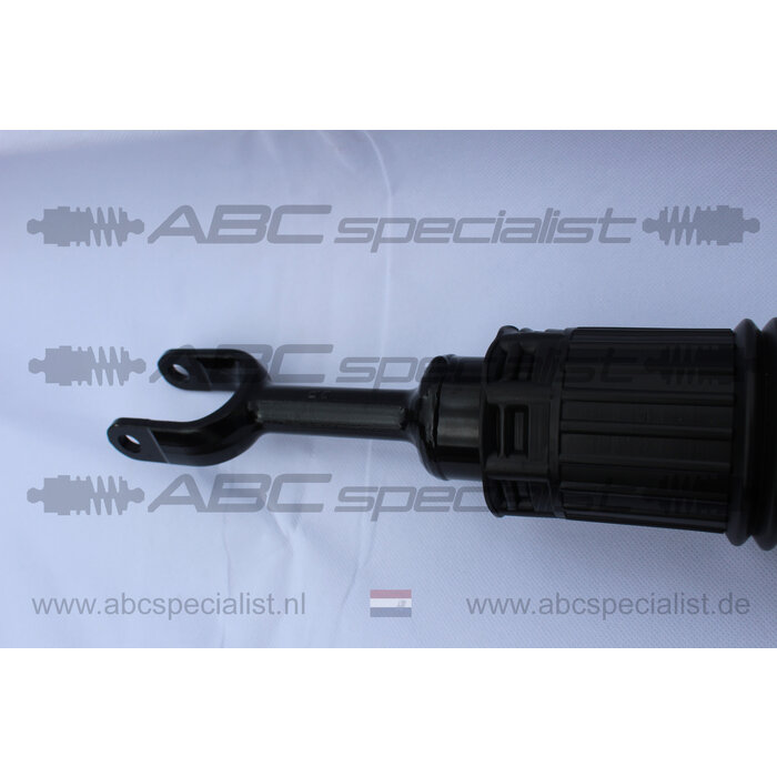 AUDI A8 D3 4E Stoßdämpfer Federbein vorne links Luftfederung