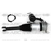AUDI Audi S8 D3 4E Puntal Amortiguador Trasero Derecha Suspensión neumática Sport 4E0616002 4E0616002A