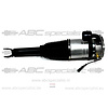 BENTLEY Bentley Continental GT GTC Jambe d'amortisseur arrière gauche Suspension pneumatique 3W5616001A 3W5616001C