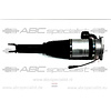 BENTLEY Bentley Continental GT GTC Rechts Achter Schokbreker Veerpoot Luchtvering 3W5616002A 3W5616002C