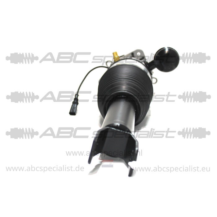 BENTLEY Bentley Continental GT GTC Puntal Amortiguador Trasero Izquierdo Suspensión neumática 3W5616002A 3W5616002C