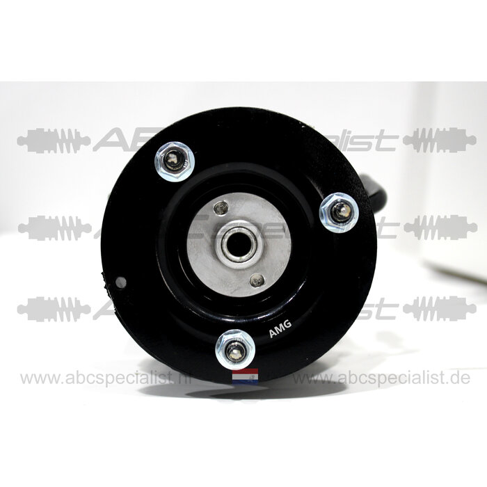 MERCEDES-BENZ Mercedes CL-Klasse C215 ABC Stoßdämpfer Federbein AMG Hinten Rechts A2203201838 A2203205613