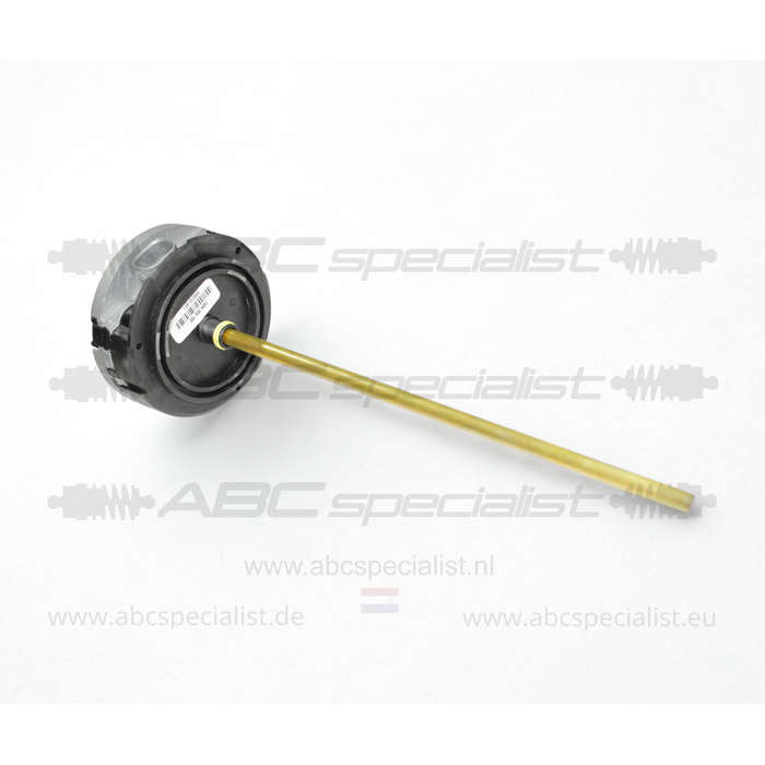 MERCEDES-BENZ Mercedes SL-Class R230 plunger sensor ABC Shock absorber Strut Rear Right Left 2455004100 A2303200213