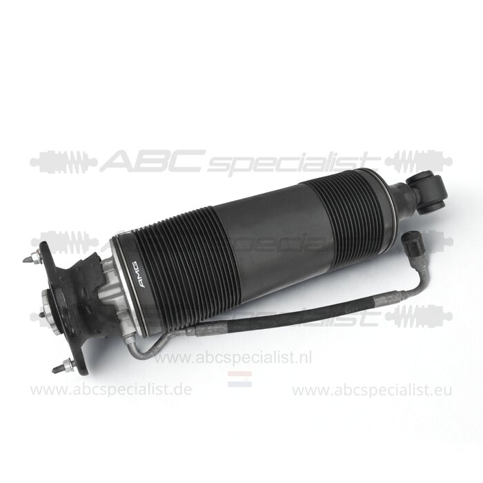 MERCEDES-BENZ Mercedes SL-Klasse R231 ABC Stoßdämpfer Federbein AMG Hinten Links A2313203513 A2313209713
