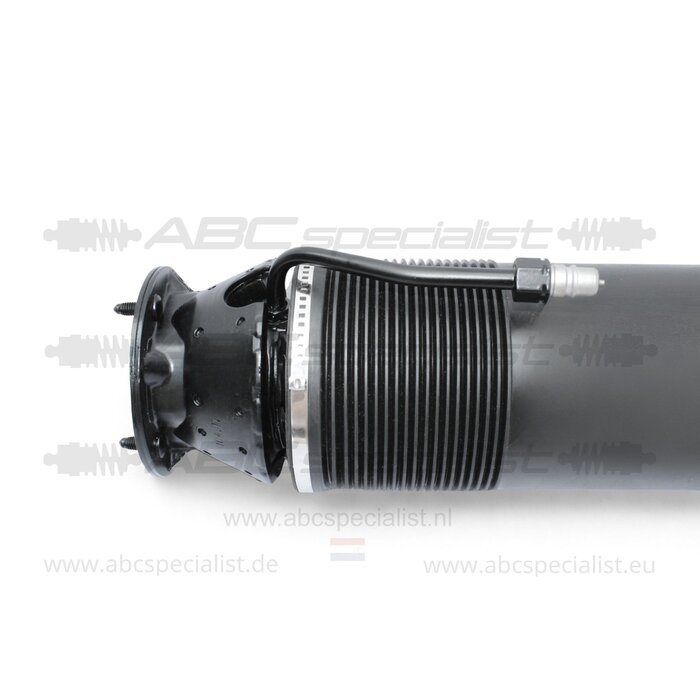 MERCEDES-BENZ Mercedes CL-Clase C215 ABC Amortiguador Trasero Derecha A2203201813 A2203205613