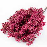 Dried Pepperberries