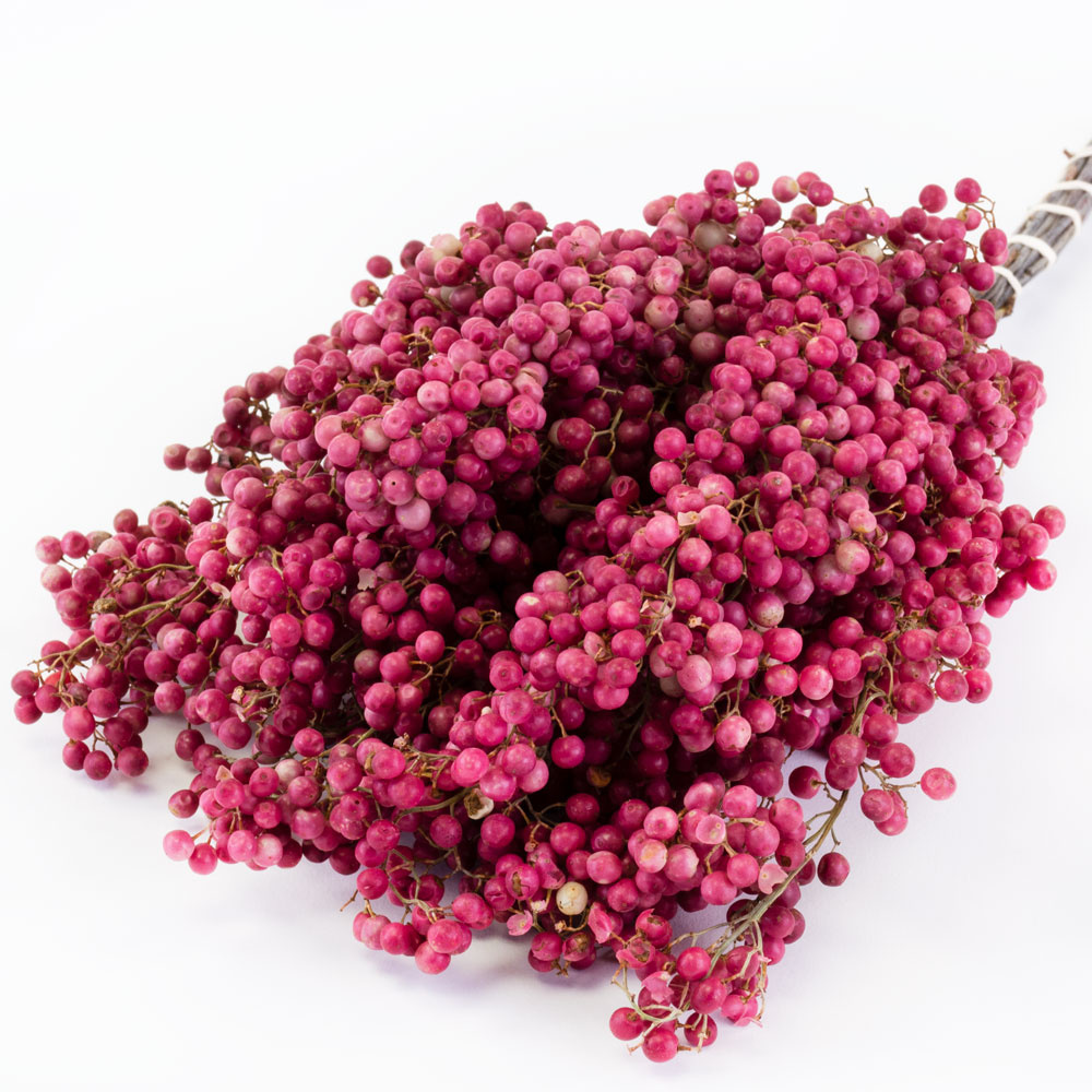 Wholesale Dried Pepperberries | Order pepper berries in all kinds of colors