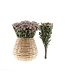 Dried lavender-gray spray roses "Silver Shadow" | 10 stems of spray roses per bunch | Various lengths