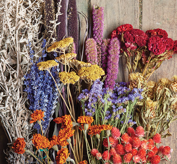 Wholesale dried flowers, buy cheap dried flowers. All types of dried flowers.