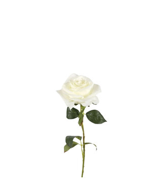 4A Cremefarbene rosa Kunstblumen | Länge 54 Zentimeter | Pro 6 Stück