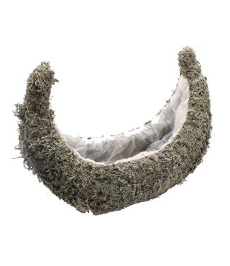 QC Planter Grey Moss Shipp L50cm B20cm Natural  | Per stuk