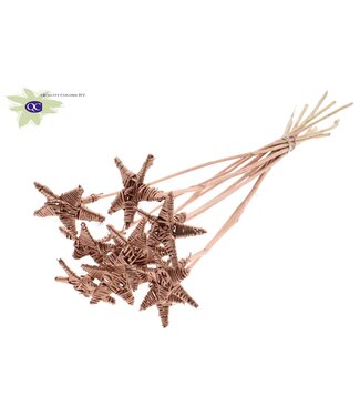 QC Lata Star on stem Copper | Per 50 stuks