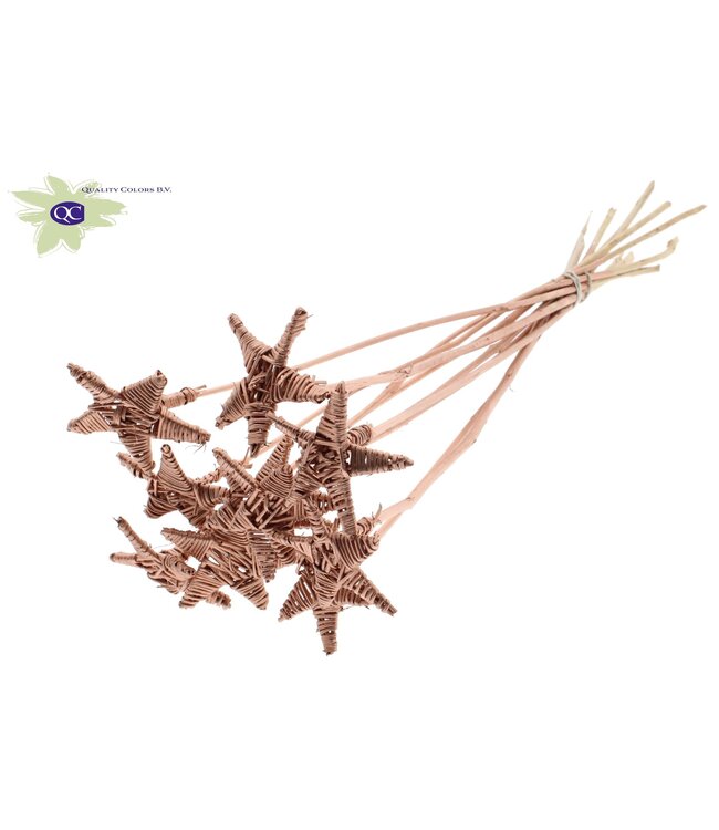 Lata Star on stem Copper | Per 50 stuks te bestellen