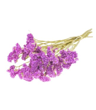 LDD Natural dark pink dried sea lavender | Statice sinuata dried flowers | Per 20 pieces