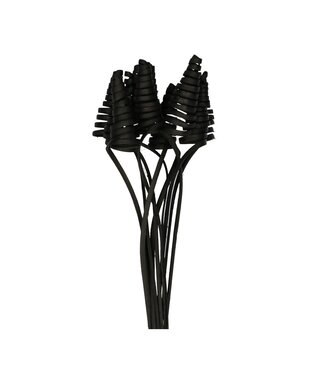 4A Bijsteker 50 centimeter Cane Cone | Per 10 stuks