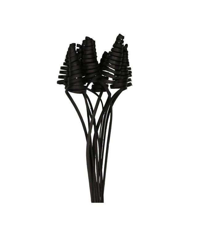 Bijsteker 50cm Cane Cone | Per 10 stuks te bestellen