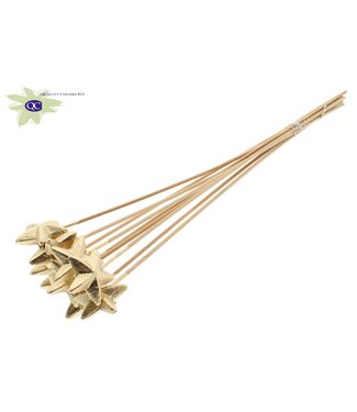 QC Styro Star flat type on stem Antique Gold | Per 50 stuks