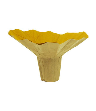 4A Support bouquet jaune Roset | Diamètre 23 centimètres | Par 10 pièces
