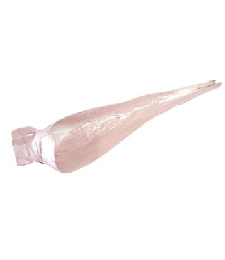 QC Calvao Carana Lgt 110-140 centimeter per pc Pearl Light Pink  | Per stuk
