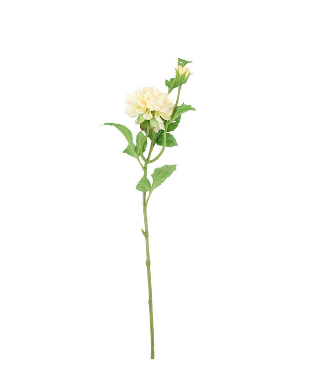 Cremefarbene Dahlien Kunstblumen | Länge 69 cm | 12 Stück bestellen
