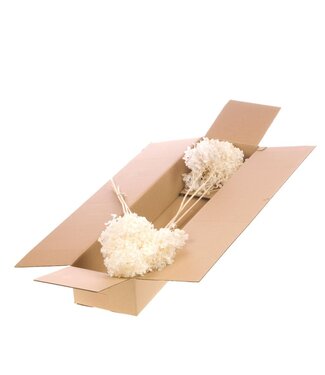 LDD Lilac bleached Hydrangea | 3 preserved Hydrangeas per bunch | Length 50 centimetres | Per 2 bunches