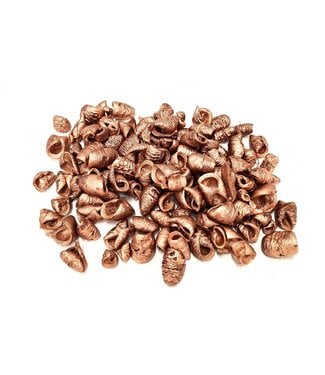 QC Lansunia petal 500gr in poly Copper | Per 4 stuks