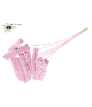 QC Kore Posy on stem Covered Light Pink | Per 50 stuks