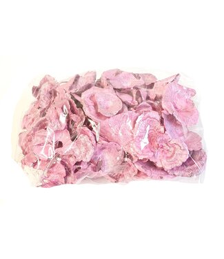 QC goudkleurigen mushroom 100gr in poly parel roze | Per 4 stuks