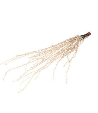 4A Salmon-coloured dried birch branches | Length 70 centimetres | 10 branches per bunch | Per bunch