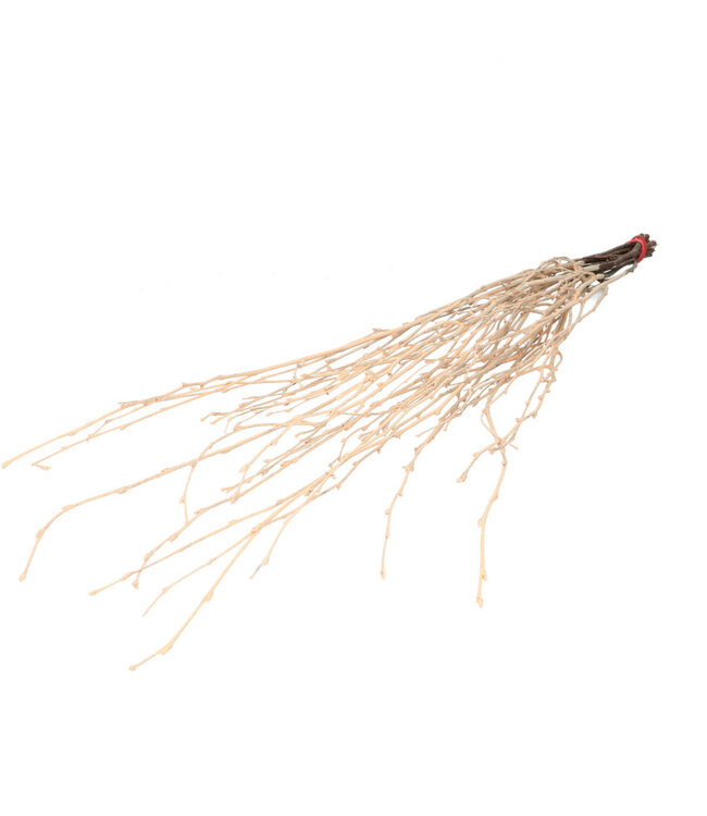 Salmon-coloured dried birch branches | Length 70 centimetres | 10 branches per bunch | Available to order per bunch