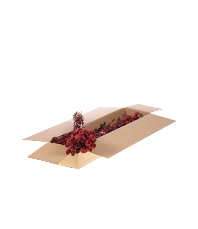 Coquelicots rouges séchés | Commande par 4 bottes