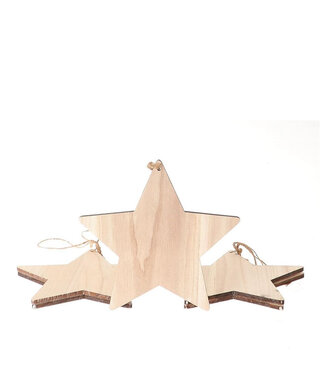 4A Kerst Deco hanger ster 25cm x5 | Per stuk