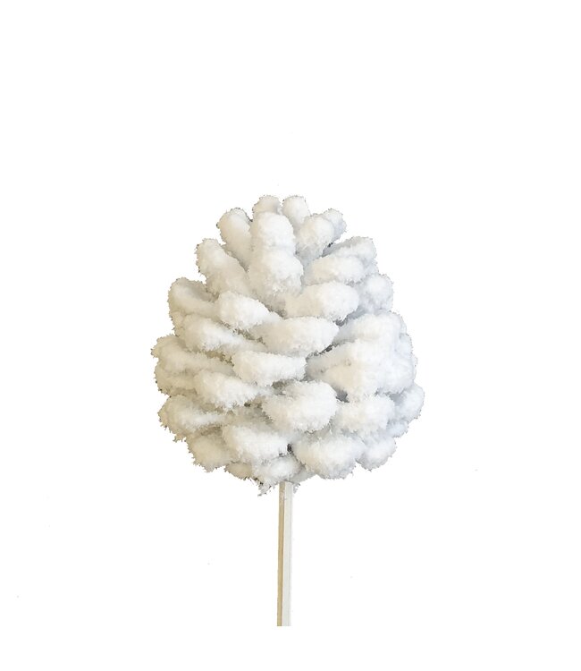 White pine cones with snowflakes side plugs on stick | Diameter 5 - 7 centimetres | Per 50 bunches