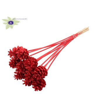 QC Red covered pine cones side plugs on stick | Diameter 5 - 7 centimetres | Per 150 bunches