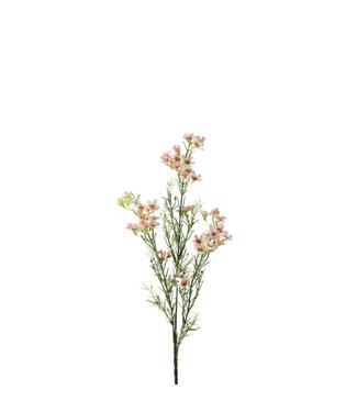 4A Kunstbloemen Wax flower 67cm | Per 4 stuks