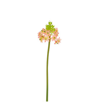 4A Kunstbloemen Ornithogalum 81cm | Per 6 stuks