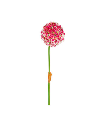 4A Kunstbloemen Allium 82cm | Per 4 stuks