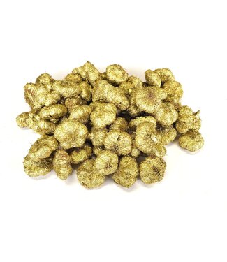 QC Paras peepal (500gr in poly) Gold | Per 4 stuks