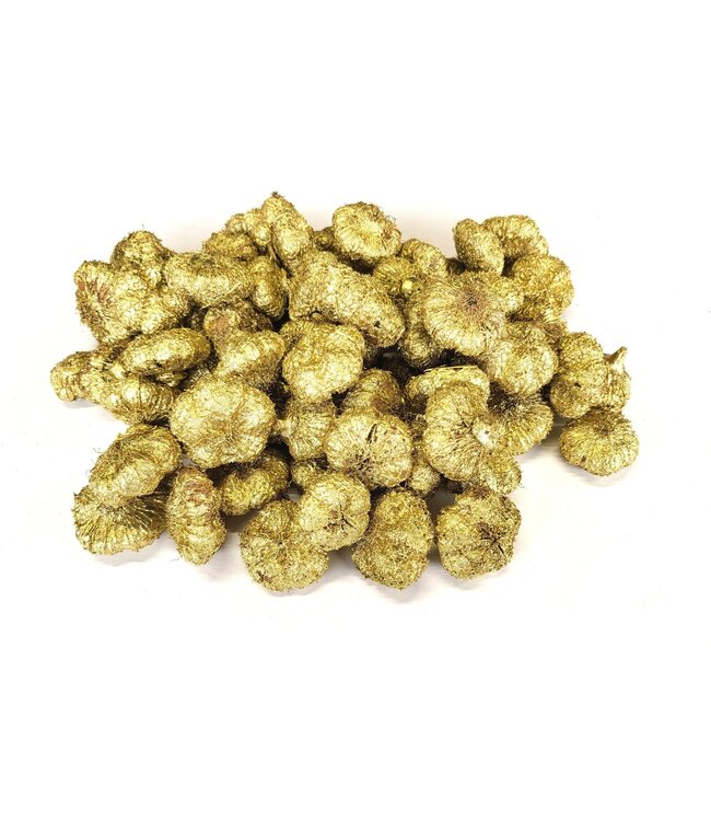 Paras peepal (500gr in poly) Gold | Per 4 stuks te bestellen