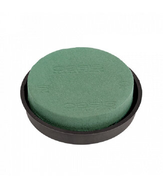 4A Grün Oasis Naylorbase Posy Pad Steckmoos | Durchmesser 23 Zentimeter | Pro 2 Stück