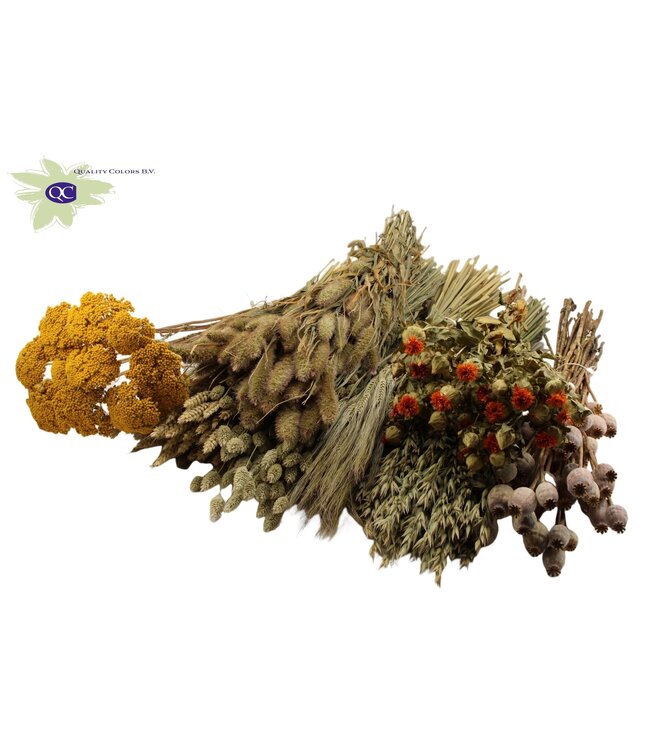 Dutch dried Flowers mix box 16 bunch various products Natural | Per stuk te bestellen