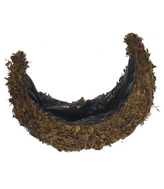 QC Planter Pinar Shipp L50 centimeter B20 centimeter Natural  | Per stuk