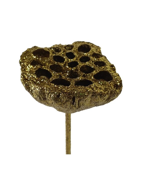 Lotus 5-7cm on stem Gold + Glitter | Per 50 stuks te bestellen