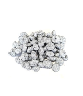 QC Paras peepal (| Gewicht 500 gram r in poly) Silver | Per 4 stuks